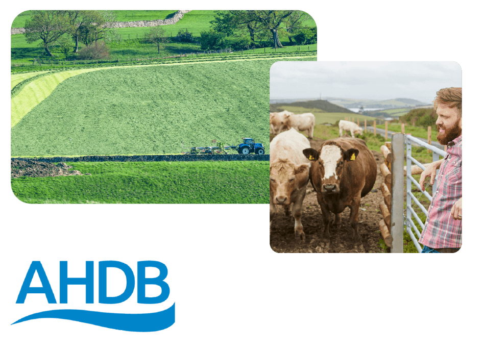 AHDB Case Study