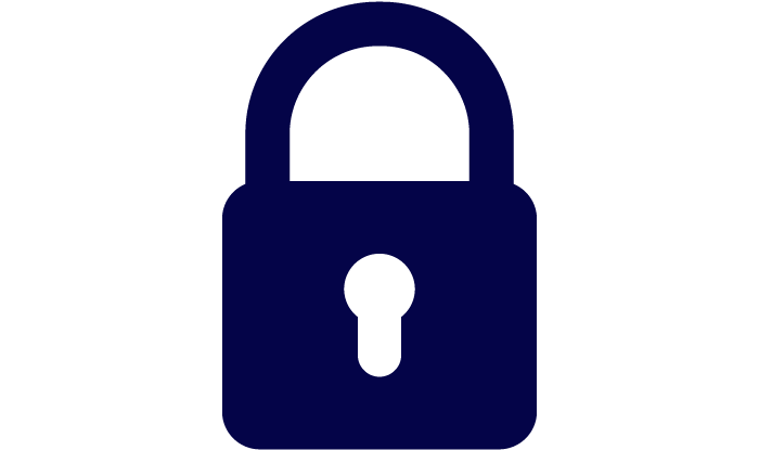 Data-Security-Icon