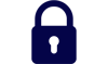 Data Security Icon